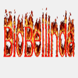 biobellindaa.tr.gg