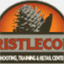 bristleconeshooting.com