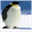 pbpenguin.co.za