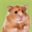 hamsterkaefig24.de