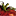 lerougetomate.com