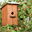 featuringberlin.net