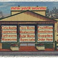 oakesdalechamber.com