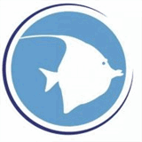 bluemagicphotography.ca