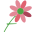 cadrilfleuriste.com