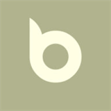 buchholz-immobilien.net