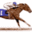 offtrackthoroughbredhelp.com