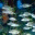kaarenmw.wordpress.com
