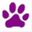 shabbypups.org