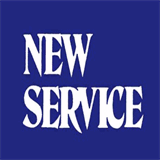 immobiliarenewservice.com