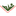 cadvirus.com