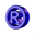 rajplacements.com