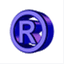 rajplacements.com