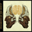 fragmentsoftheorient.bandcamp.com