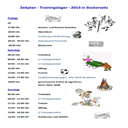 scmspringer.de.tl