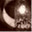 silentlygale.wordpress.com