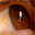 pluriel.over-blog.com