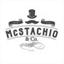 mcstachioandco.com