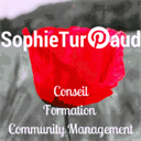 sophieturpaud.com