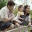plunkfamily.wordpress.com