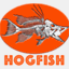 hogfishcda.com