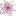 floracause.com