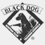 blackdoghuntingclub.com