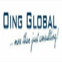 oing-global.de