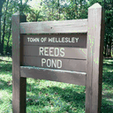 onreedspond.com