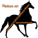 wartrace.net