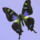 crystalrealmdesigns.tumblr.com