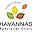havannas.co.uk