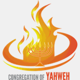 coninvest-company.com