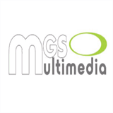 mgsmultimedia.com