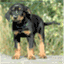 fyrabusigabeauceroner.wordpress.com