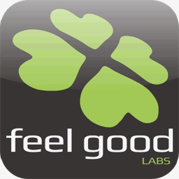 feelgoodreflexology.com