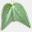 passiflora-forum.de.vu