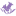 g-iqi.org