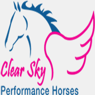 clearskyperformancehorses.com.au