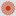 fynbosfire.org.za