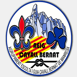aeigcavallbernat.cat