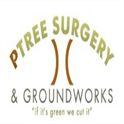 ptreesurgeryandgroundworks.co.uk