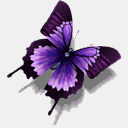 grzybice.sezon.net.pl