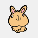 rabbit-wish.com