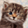 objectif-comptabilite.over-blog.com