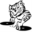 stlouiskaraokedjs.com