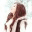 vhujie26.wordpress.com