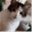 stringsticksandtricks.net