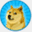 multidoge.org