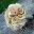 bloomson.wordpress.com